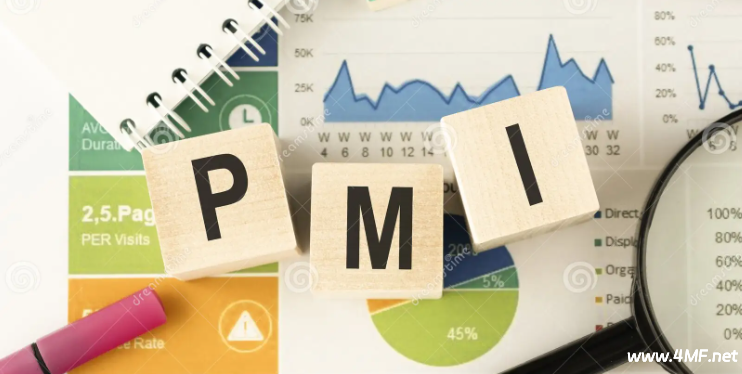 世界主要经济体制造业采购经理指数(PMI)的对比 - 2025.01-绿动下载