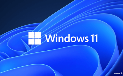 微软官方原版Windows 11 24H2 系统镜像文件2025年3月版更新下载-绿动下载