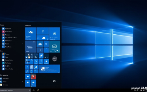 Windows 11 高效用户的七个使用习惯-绿动下载