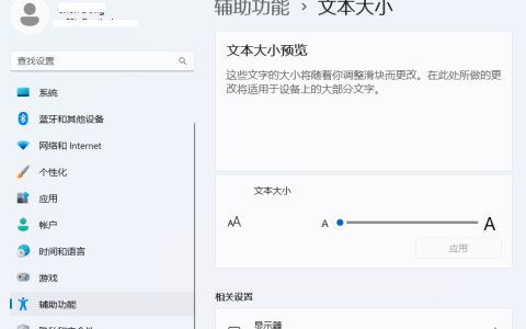 电脑上的字怎么调大小？Windows 11字体设置指南-绿动下载