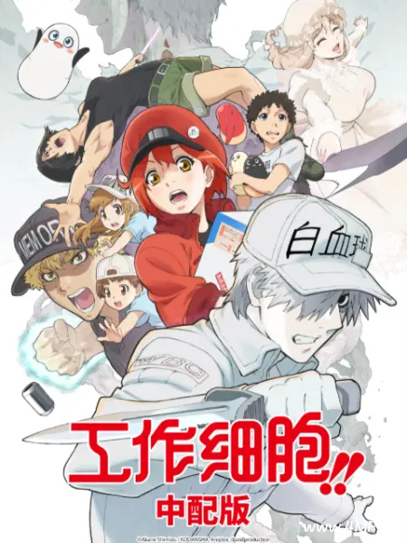 动画片 工作细胞 第二季（中配版）-绿动下载