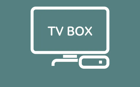 AnBoxTV v2.4 影视点播+电视直播应用软件 兼容安卓4.X电视-绿动下载