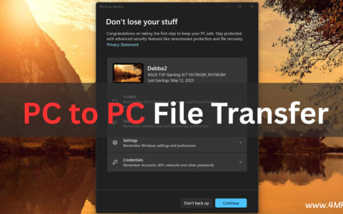 PC间无线传输:Windows 11测试PC到PC无线文件传输-绿动下载