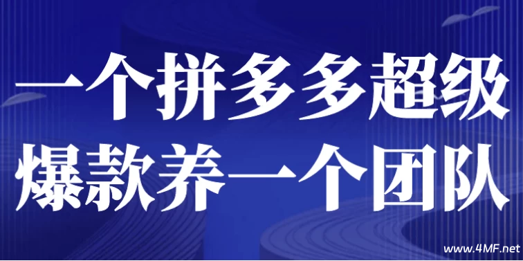 一个拼多多超级爆款养一个团队-绿动下载