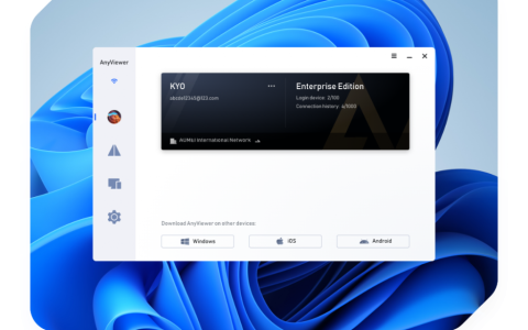 【限免】AnyViewer Professional 免费激活密钥 – 安全快速的远程桌面软件-绿动下载