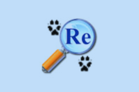 VFP反编译软件 ReFox XI Plus v11.54.2008.522 注册版-绿动下载