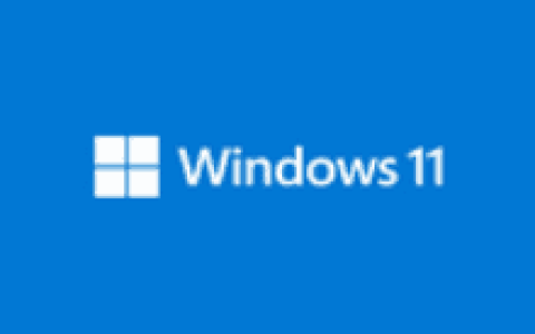 Win11 LTSC 2024(26100.9278) 不忘初心版-绿动下载