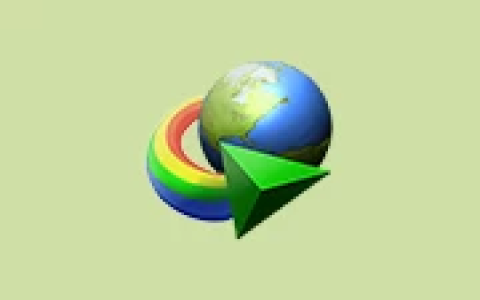 Internet Download Manager v6.43.6 仿官方安装版-绿动下载