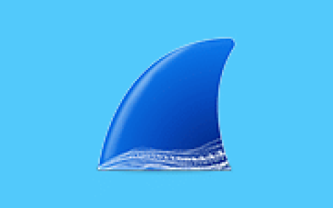 Wireshark抓包从入门到精通-绿动下载