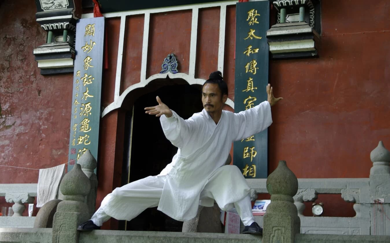 武当袁师懋道长养生八段锦-绿动下载