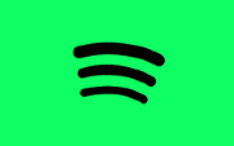 全球音乐软件 Spotify安卓版 v9.1.36.1948 解锁高级版-绿动下载
