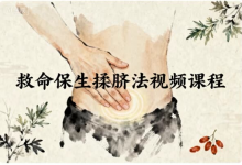 救命保生揉脐法视频课程-绿动下载