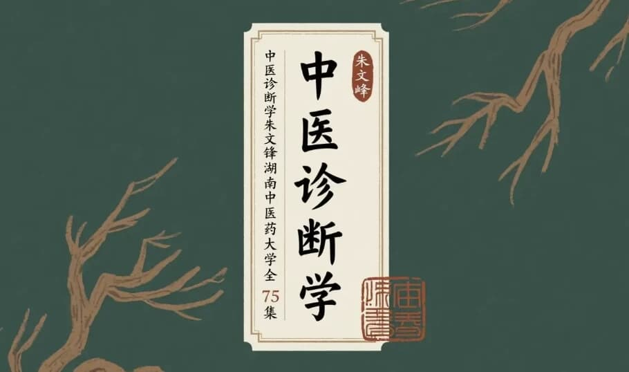 中医诊断学 朱文锋-湖南中医药大学-绿动下载