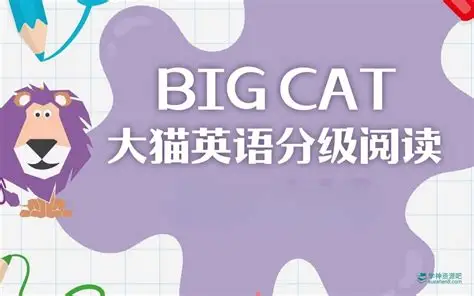 柯林斯大猫 Big Cat(点读 PDF + 音频)|英语启蒙分级读物全库-绿动下载