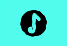 椒盐音乐 Salt Player v12.5.0-alpha01 去广告版-绿动下载