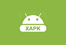 XAPK Installer v4.6.8 高级版｜全能APK/XAPK安装器-绿动下载