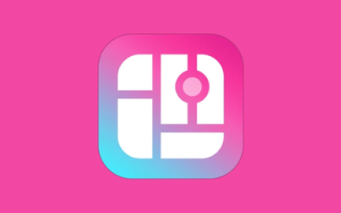 PicCollage 拼贴趣 v7.22.10 解锁会员版｜多风格拼图照片工具-绿动下载