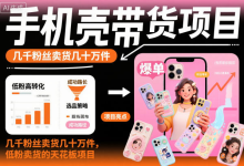 手机壳带货项目实操指南,低粉账号卖出几十万件-绿动下载