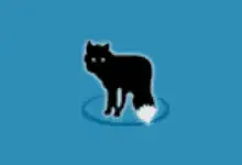轻量级视频转换软件 MetaFox v2.6.1.4 便携版-绿动下载