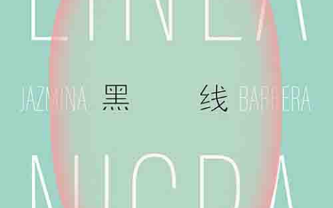 [文学 / 女性书写]《黑线》| 生育叙事勾连文明史的隐秘脉络-绿动下载