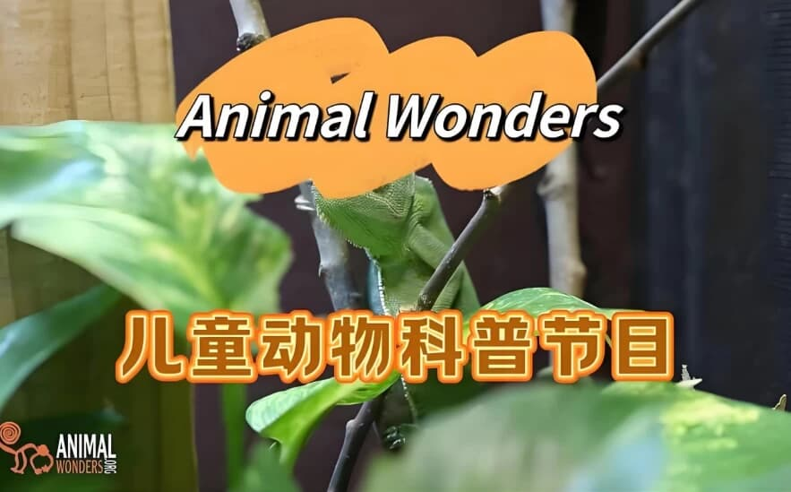 油管热门英文儿童动物科普节目《动物奇观 Animal Wonders》-绿动下载