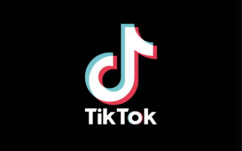 抖音海外版 TikTok v46.4.3 Plugin v2.41 去广告解除封锁版-绿动下载