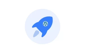 WordPress 优化插件 WPOPT v2.5.8 官方正式版-绿动下载
