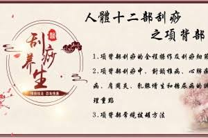 【中医课程】刘霞新版人体十二部刮痧视频课程(13集)-绿动下载