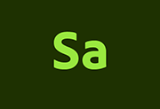 Adobe Substance 3D Sampler v6.0.4 Sa中文直装版-绿动下载