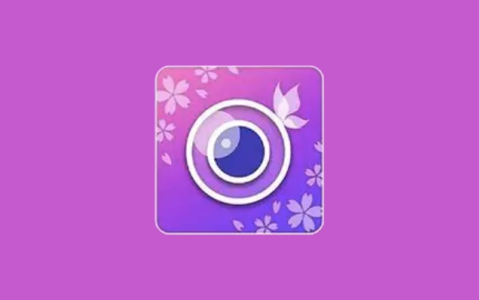 玩美相机 YouCam Perfect v6.21.2 解锁高级会员版-绿动下载