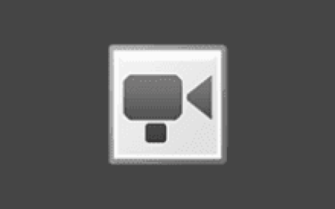 专业屏幕录制软件 NTWind WinCam v4.3 多语便携版-绿动下载