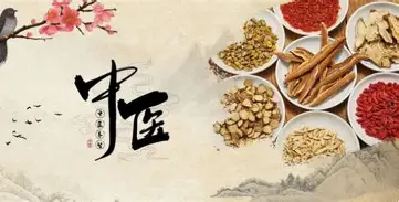 【中医课程】中医调理术 理论讲解实操手法药膳配方 讲解入门到精通-绿动下载