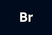 Adobe Bridge 2026 v16.0.8.10 x64 免激活完整安装版-绿动下载