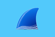 网络抓包工具 Wireshark v4.6.9 集成驱动库中文便携版-绿动下载