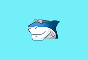 多媒体编解码器套件 Shark007 Codecs v20.9.4 便携版-绿动下载
