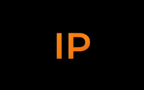 IP工具箱 IP Tools v9.8 纯净版 全能网络分析神器-绿动下载